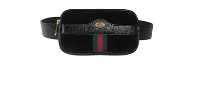 Ophidia Waist Bag, front view